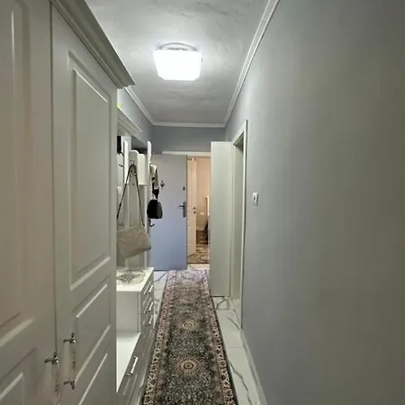 Apartment Luxury Hosting In *
